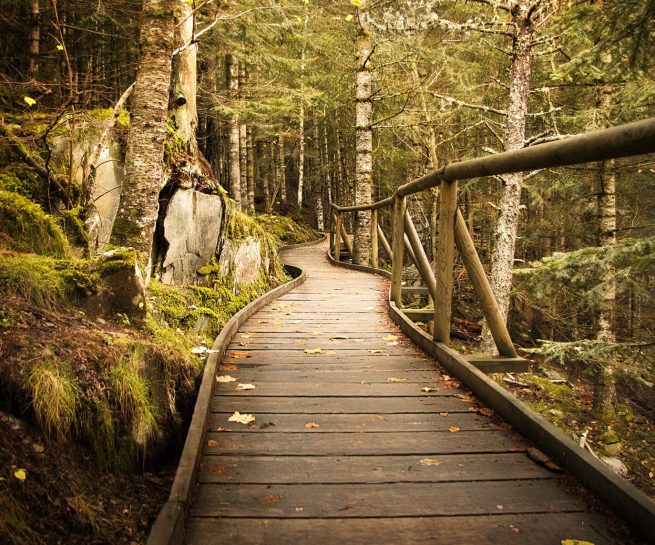 aventura - overseas travel