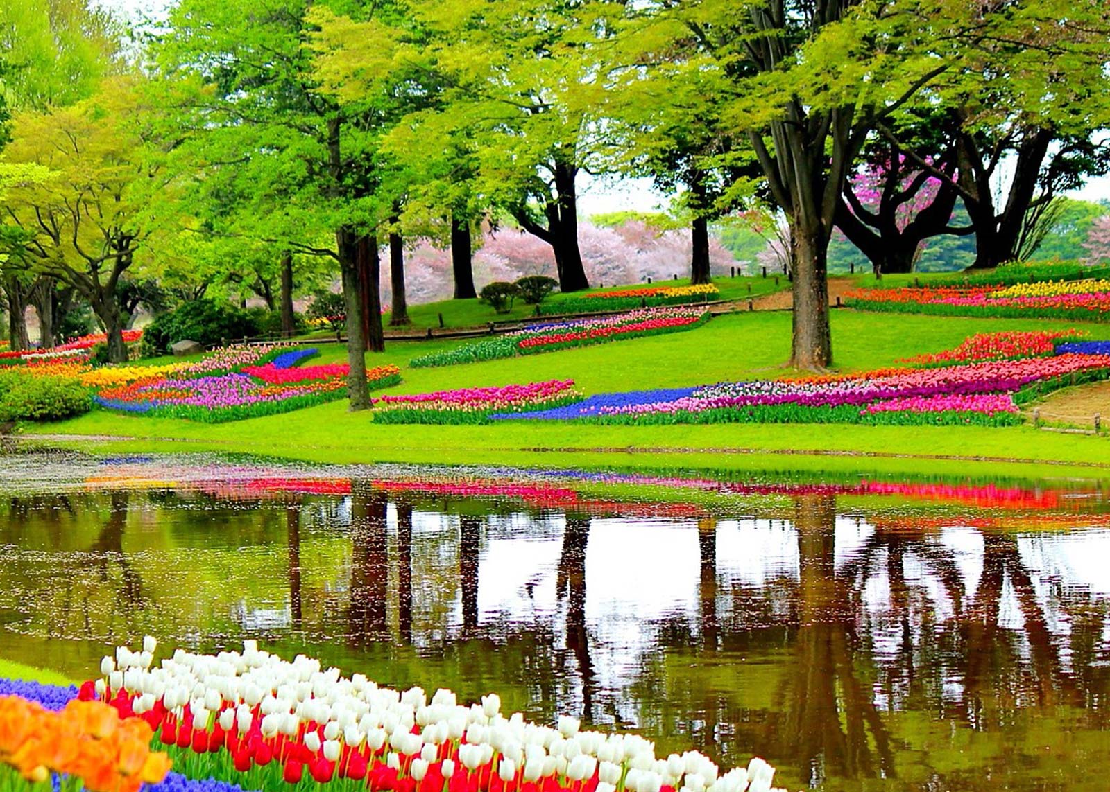 luna de miere, aprilie - keukenhof - overseas travel
